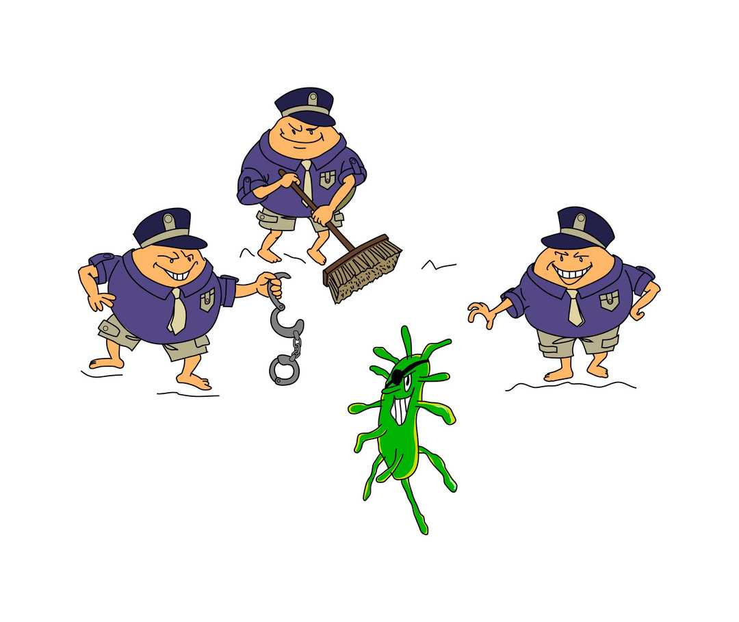 Körperpolizei verhaftet den Eindringling Körperpolizei verhaftet den Eindringling